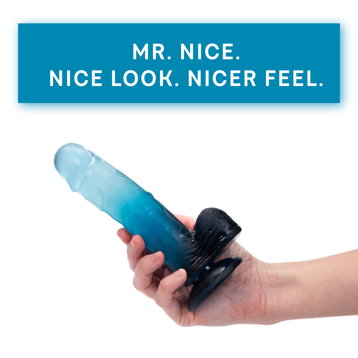 Mr Nice