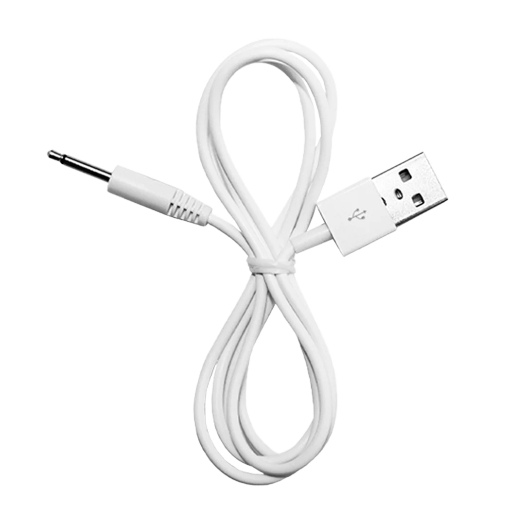 Replacement Toy Charger