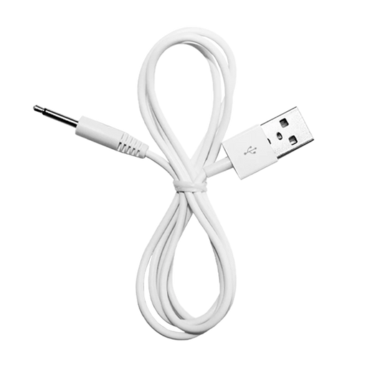 Replacement Toy Charger