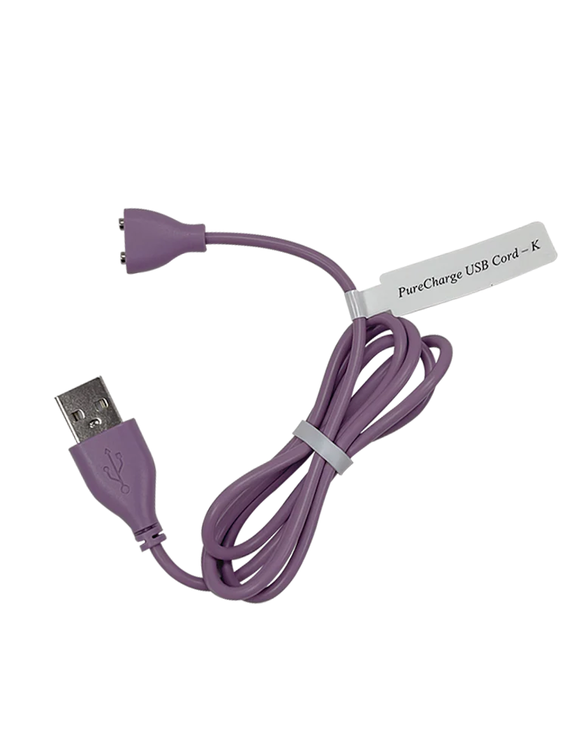 Replacement Toy Charger