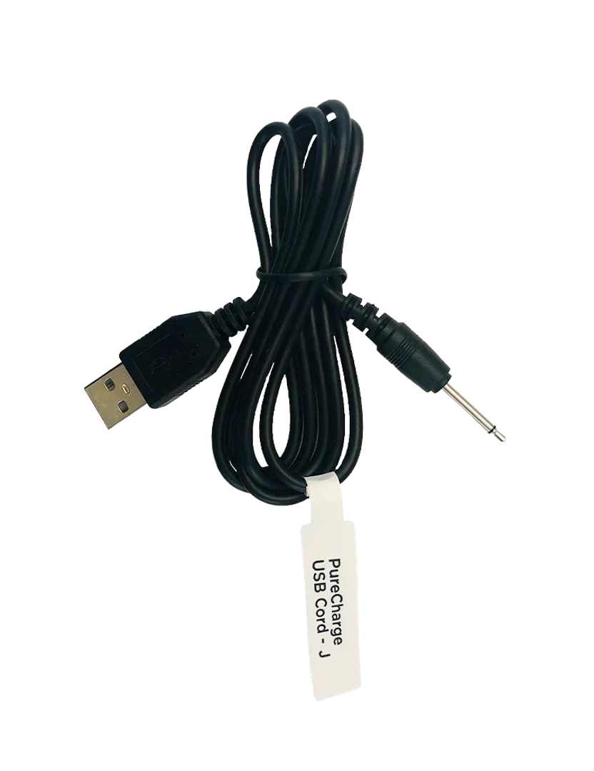 Replacement Toy Charger